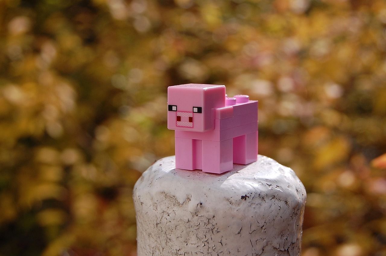 Od bloków do kodu: nauka informatyki poprzez zabawę w Minecraft